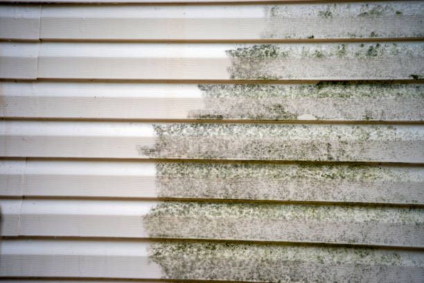 Best Demolition Debris Removal  in Wesson, MS