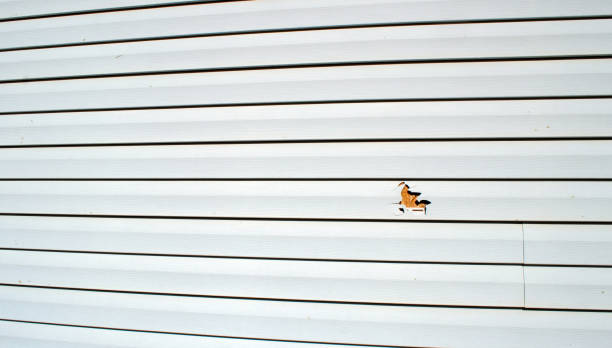 Best Shed Removal  in Wesson, MS