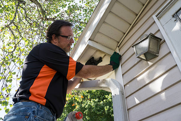 Best Hoarding Cleanup  in Wesson, MS